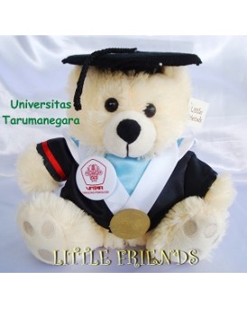 Boneka Wisuda Universitas Tarumanagara - Psikologi (25 cm)